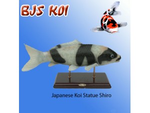 Koi Statue On Stand Shiro