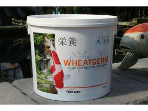 Evolution Aqua Wheatgerm Koi Food 6kg