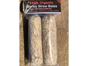 Barley Straw Bale