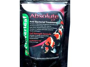 Cloverleaf Absolute CT 55g Anit-Bacterial Treatment