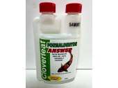 Cloverleaf Formaldehyde Answer 250ml Sale