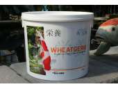 Evolution Aqua Wheatgerm Koi Food 6kg